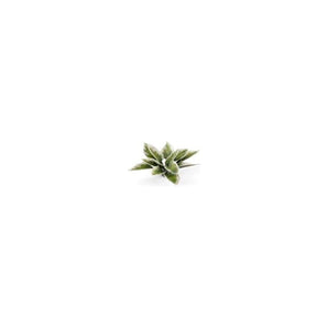 Gamers Grass Laser Plants - Plantain Lily wargaming modelling arts crafts